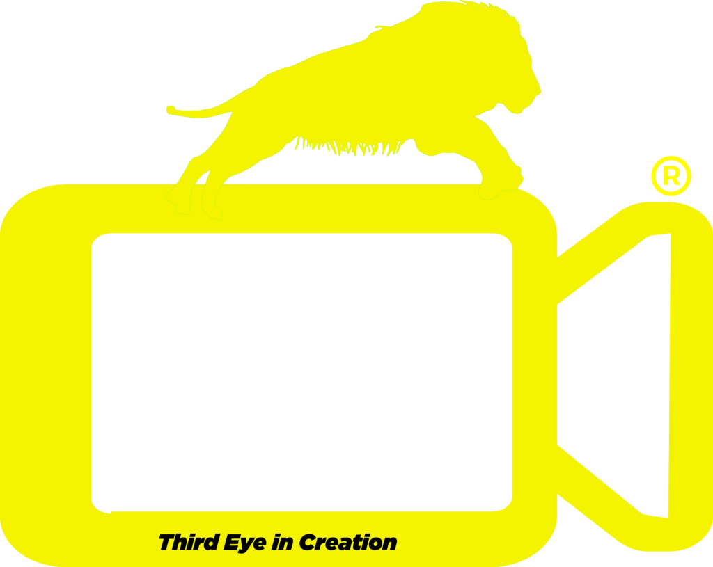 Roaring Creations Trademark
